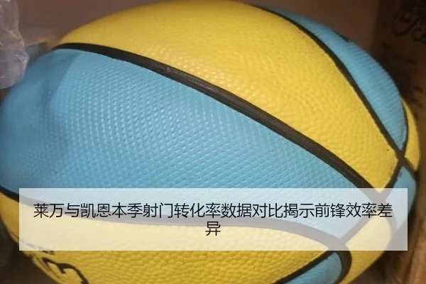 莱万与凯恩本季射门转化率数据对比揭示前锋效率差异 - cc7c7.app