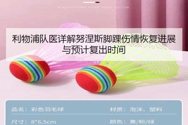 利物浦队医详解努涅斯脚踝伤情恢复进展与预计复出时间 | c7c7